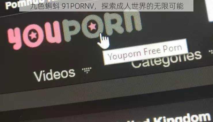 九色蝌蚪 91PORNV,探索成人世界的无限可能