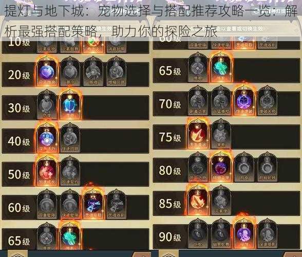 提灯与地下城:宠物选择与搭配推荐攻略一览:解析最强搭配策略,助力你的探险之旅