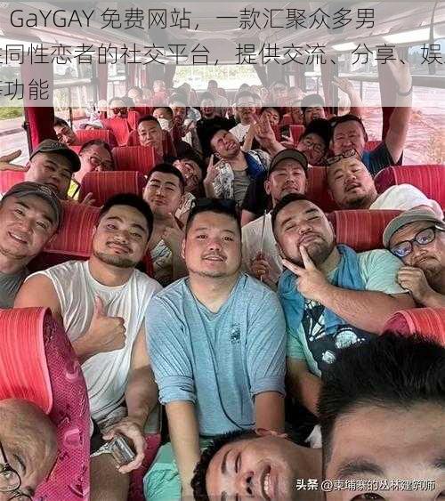 男 GaYGAY 免费网站,一款汇聚众多男性同性恋者的社交平台,提供交流、分享、娱乐等功能