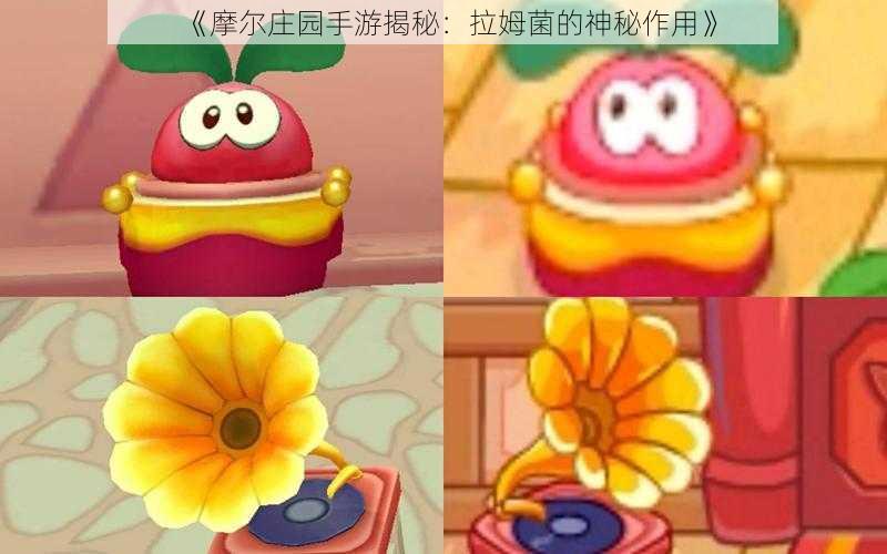 《摩尔庄园手游揭秘:拉姆菌的神秘作用》