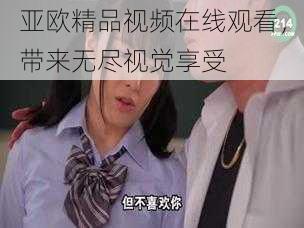 亚欧精品视频在线观看,带来无尽视觉享受