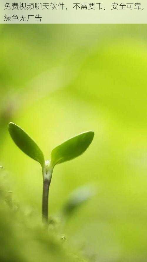 免费视频聊天软件,不需要币,安全可靠,绿色无广告