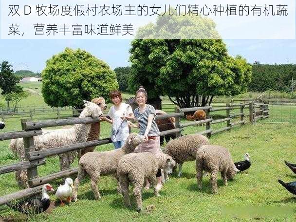 双 D 牧场度假村农场主的女儿们精心种植的有机蔬菜,营养丰富味道鲜美