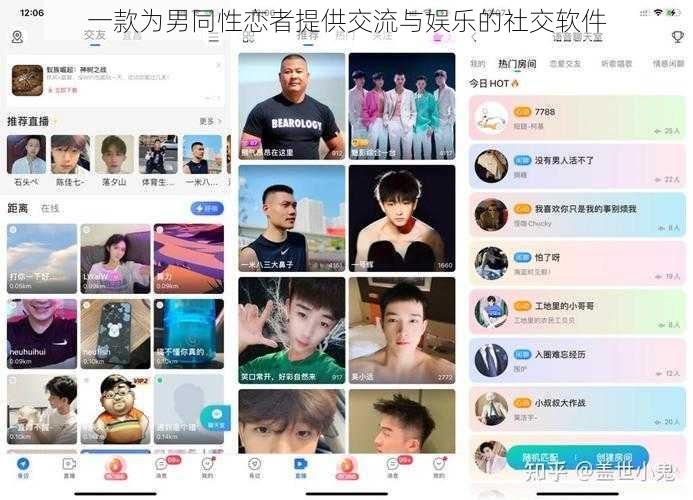 一款为男同性恋者提供交流与娱乐的社交软件
