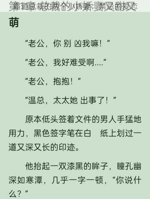 霸道总裁的两个小娇妻:禁忌的爱恋
