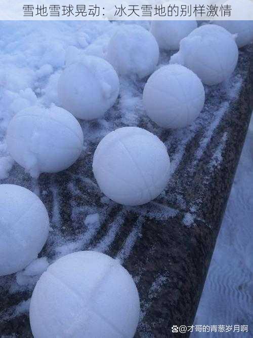 雪地雪球晃动:冰天雪地的别样激情