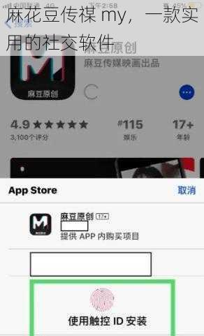 麻花豆传禖 my,一款实用的社交软件