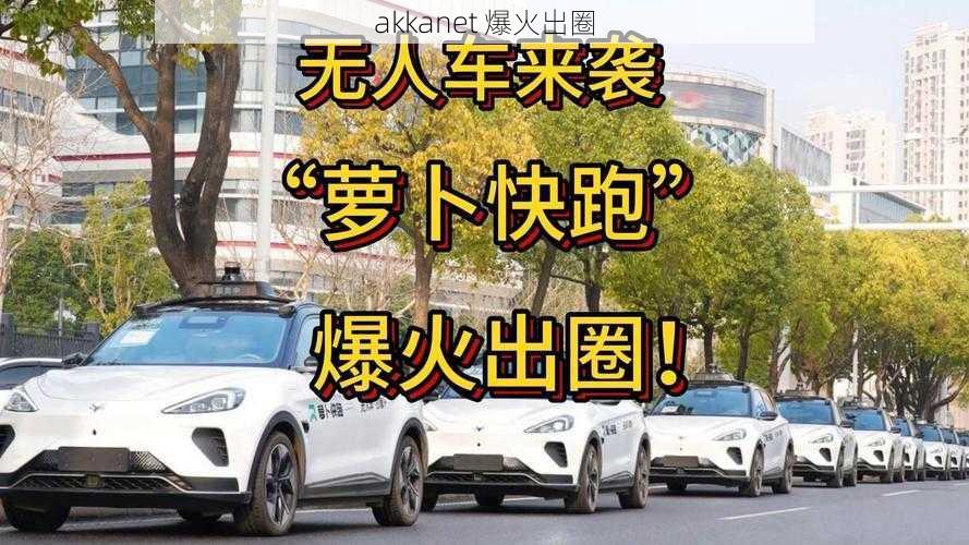 akkanet 爆火出圈