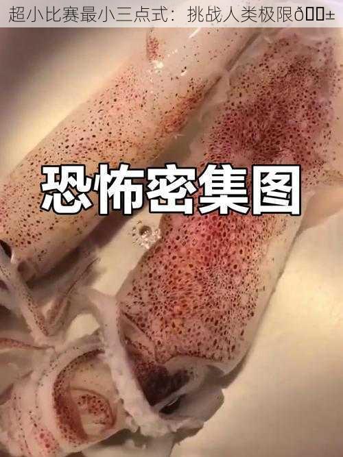 超小比赛最小三点式:挑战人类极限😱