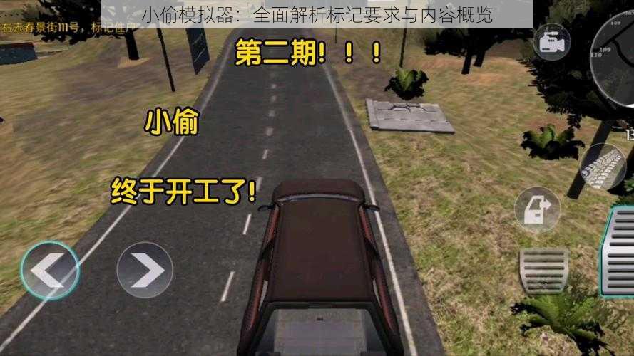 小偷模拟器:全面解析标记要求与内容概览