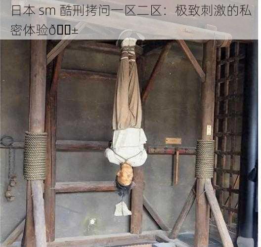日本 sm 酷刑拷问一区二区:极致刺激的私密体验😱