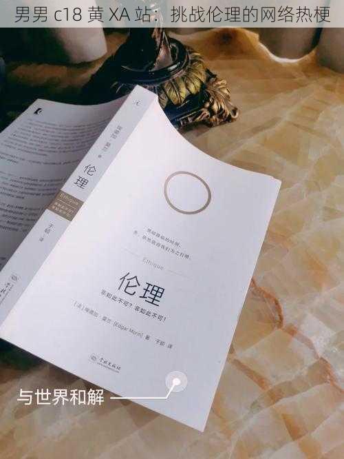 男男 c18 黄 XA 站:挑战伦理的网络热梗