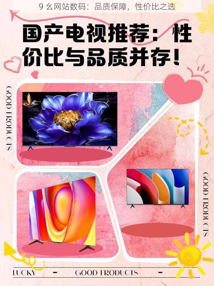 9 幺网站数码:品质保障,性价比之选