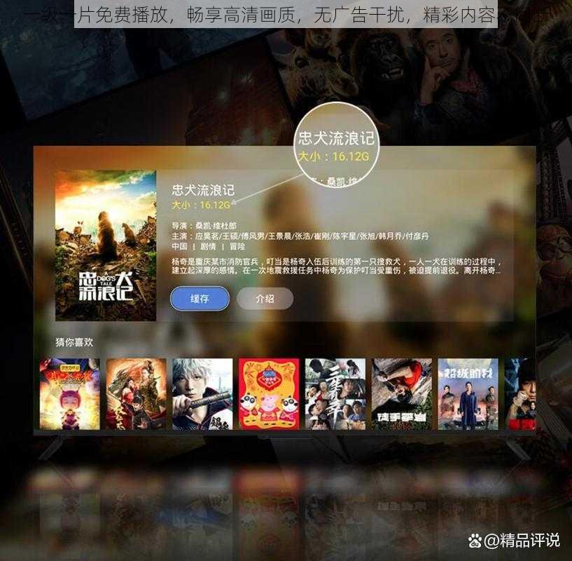 一级一片免费播放,畅享高清画质,无广告干扰,精彩内容不间断
