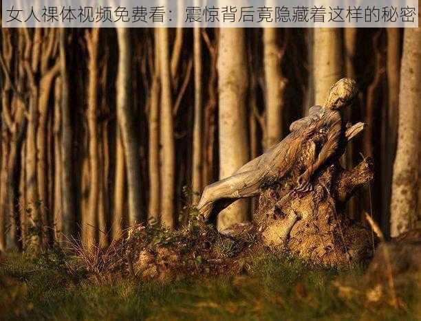 女人祼体视频免费看:震惊背后竟隐藏着这样的秘密