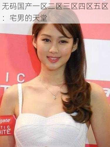 无码国产一区二区三区四区五区:宅男的天堂