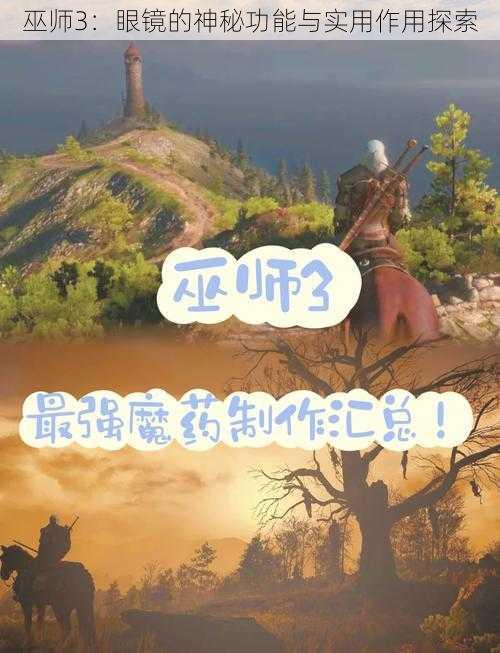 巫师3:眼镜的神秘功能与实用作用探索