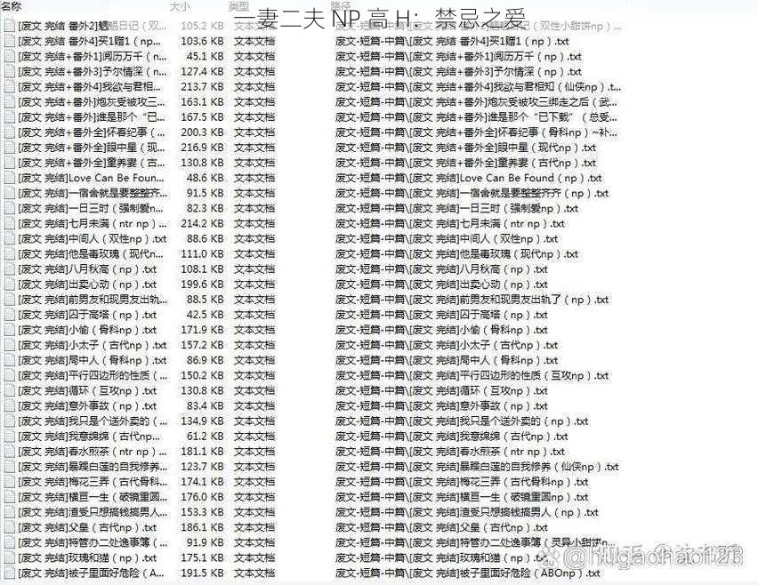 一妻二夫 NP 高 H:禁忌之爱