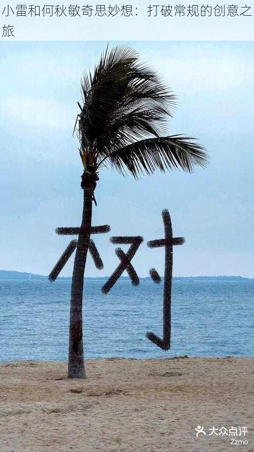 小雷和何秋敏奇思妙想:打破常规的创意之旅