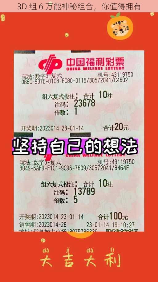 3D 组 6 万能神秘组合,你值得拥有