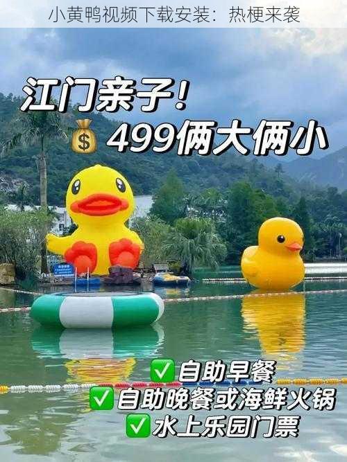 小黄鸭视频下载安装：热梗来袭