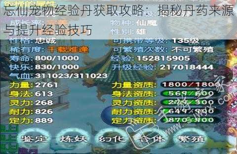 忘仙宠物经验丹获取攻略:揭秘丹药来源与提升经验技巧