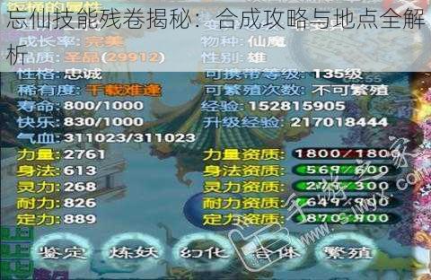 忘仙技能残卷揭秘:合成攻略与地点全解析
