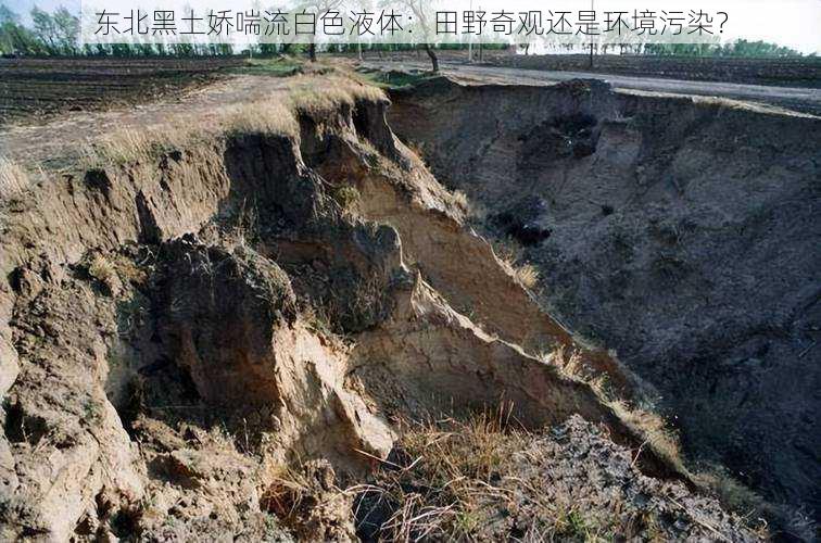 东北黑土娇喘流白色液体:田野奇观还是环境污染?