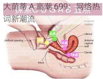 大荫蒂 A 高潮 699:网络热词新潮流