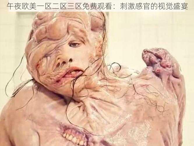 午夜欧美一区二区三区免费观看:刺激感官的视觉盛宴