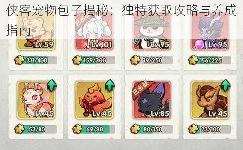 侠客宠物包子揭秘:独特获取攻略与养成指南