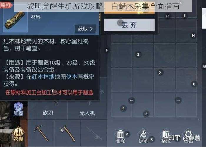 黎明觉醒生机游戏攻略:白蜡木采集全面指南