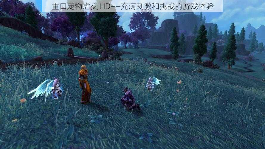 重口宠物虐交 HD——充满刺激和挑战的游戏体验