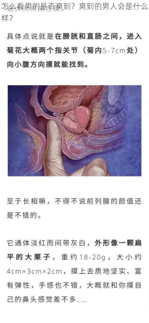 怎么看男的是否爽到?爽到的男人会是什么样?
