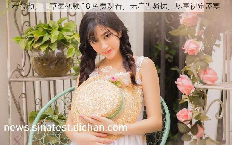 看视频,上草莓视频 18 免费观看,无广告骚扰,尽享视觉盛宴