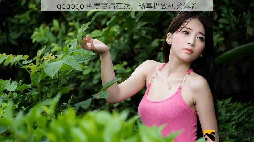 gogogo 免费高清在线,畅享极致视觉体验