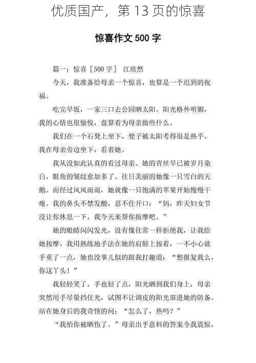 优质国产,第 13 页的惊喜