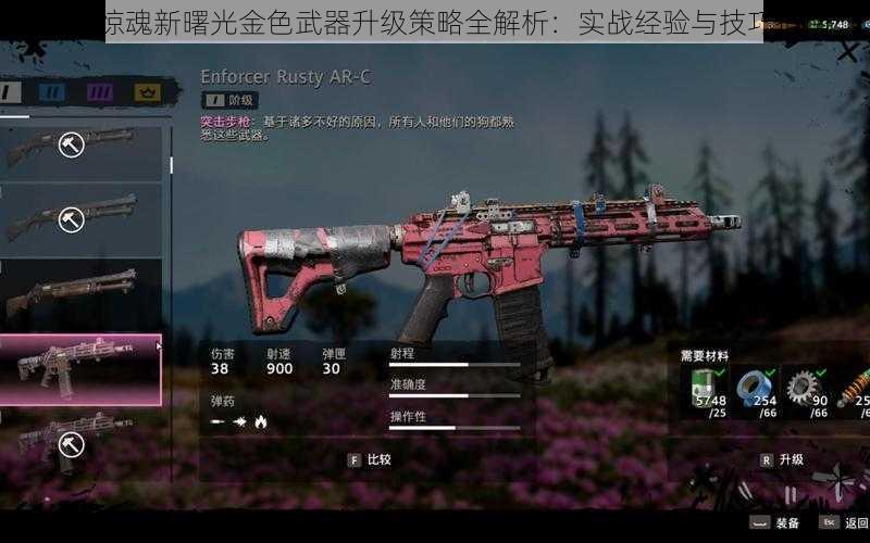 孤岛惊魂新曙光金色武器升级策略全解析:实战经验与技巧指南