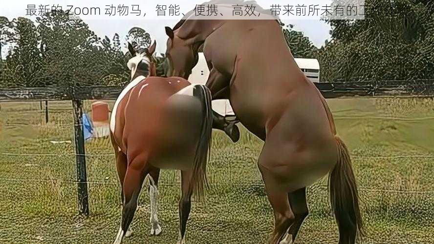 最新的 Zoom 动物马,智能、便携、高效,带来前所未有的工作体验