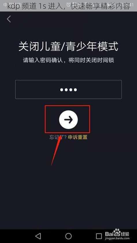 kdp 频道 1s 进入,快速畅享精彩内容