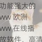 功能强大的 ww 欧洲 ww 在线播放软件,高清流畅,畅享无限精彩
