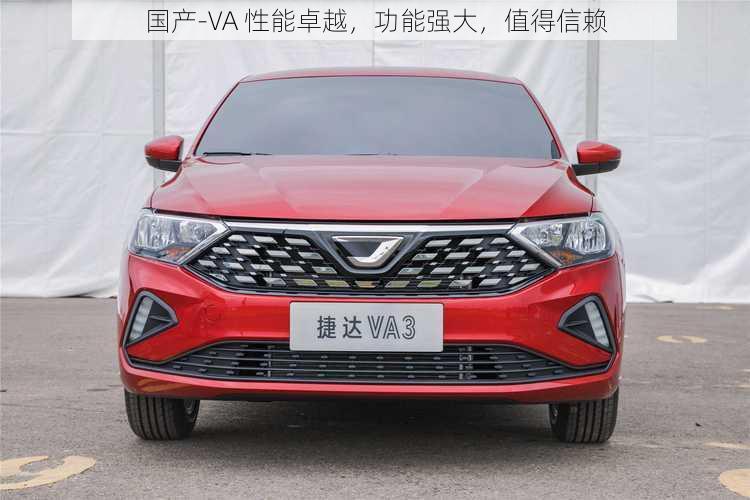 国产-VA 性能卓越,功能强大,值得信赖