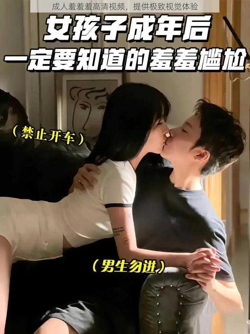 成人羞羞羞高清视频,提供极致视觉体验