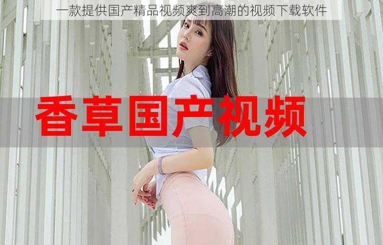 一款提供国产精品视频爽到高潮的视频下载软件