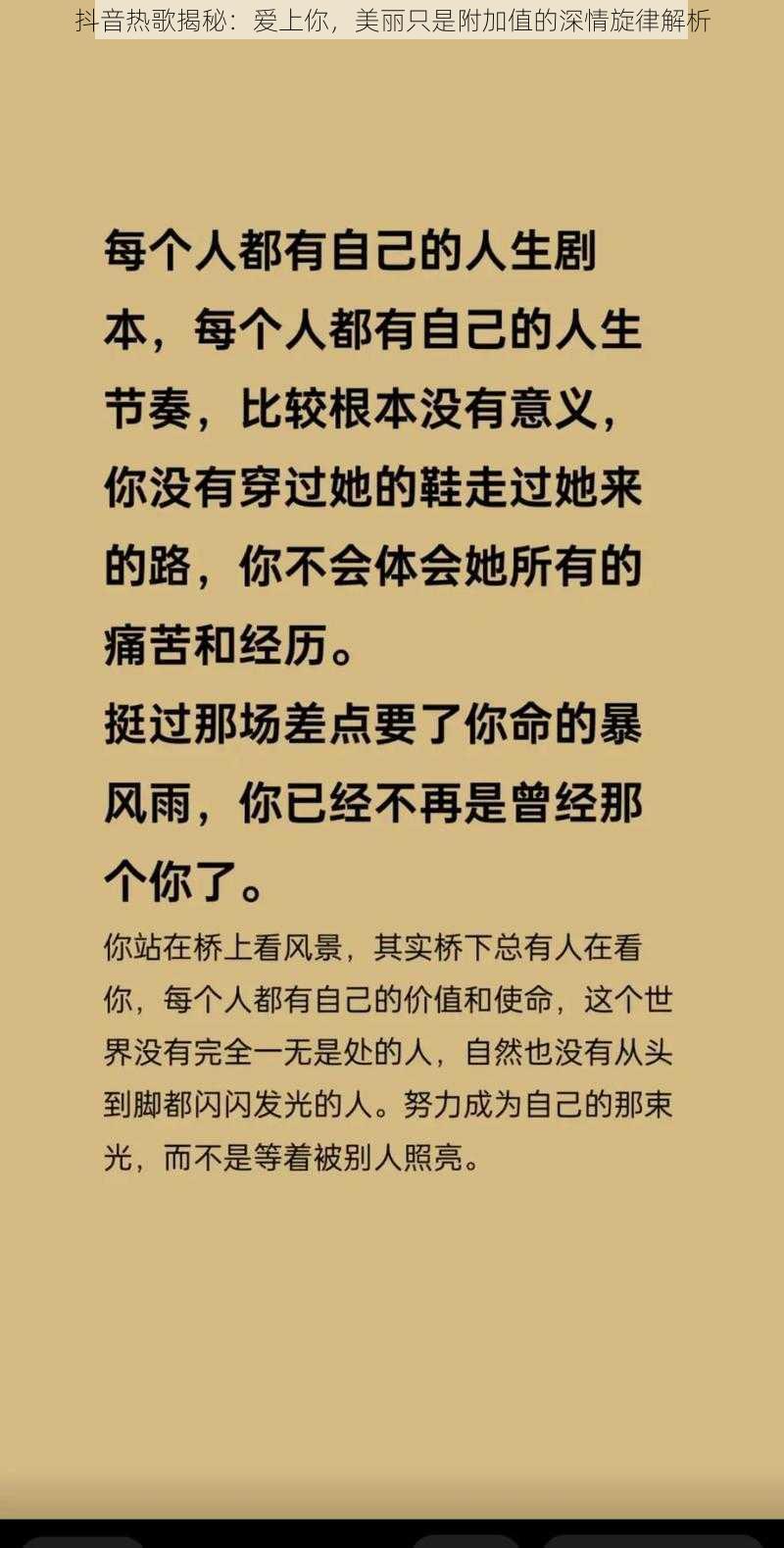 抖音热歌揭秘:爱上你,美丽只是附加值的深情旋律解析