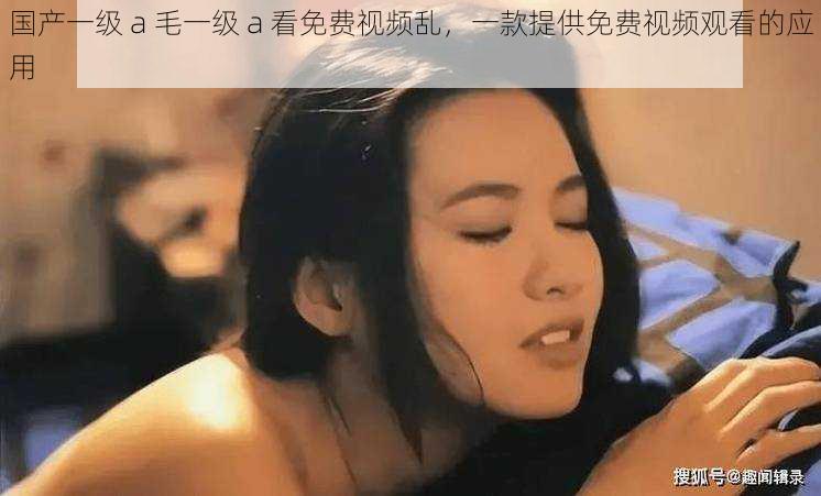 国产一级 a 毛一级 a 看免费视频乱,一款提供免费视频观看的应用