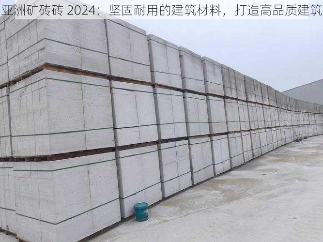 亚洲矿砖砖 2024:坚固耐用的建筑材料,打造高品质建筑