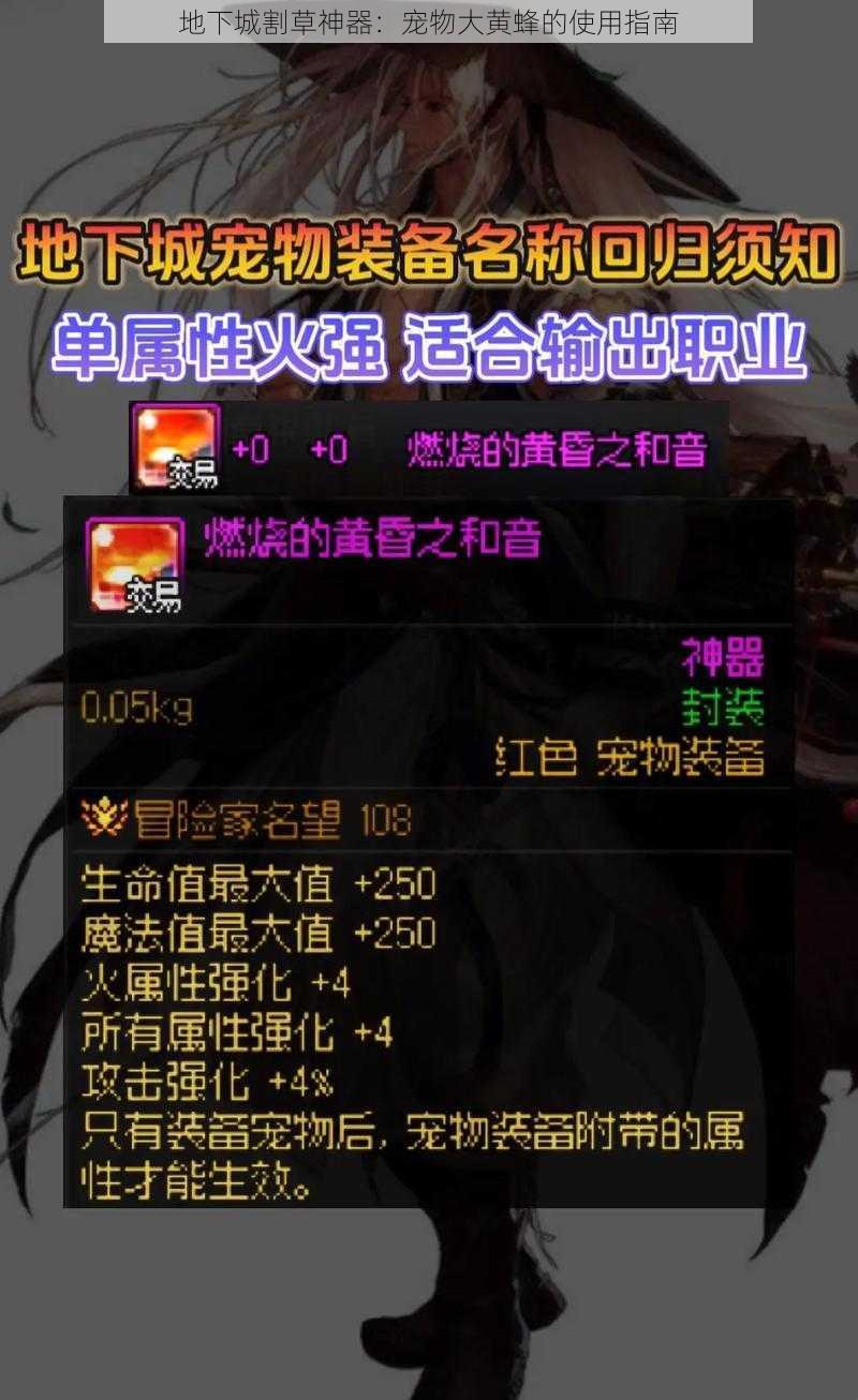 地下城割草神器:宠物大黄蜂的使用指南