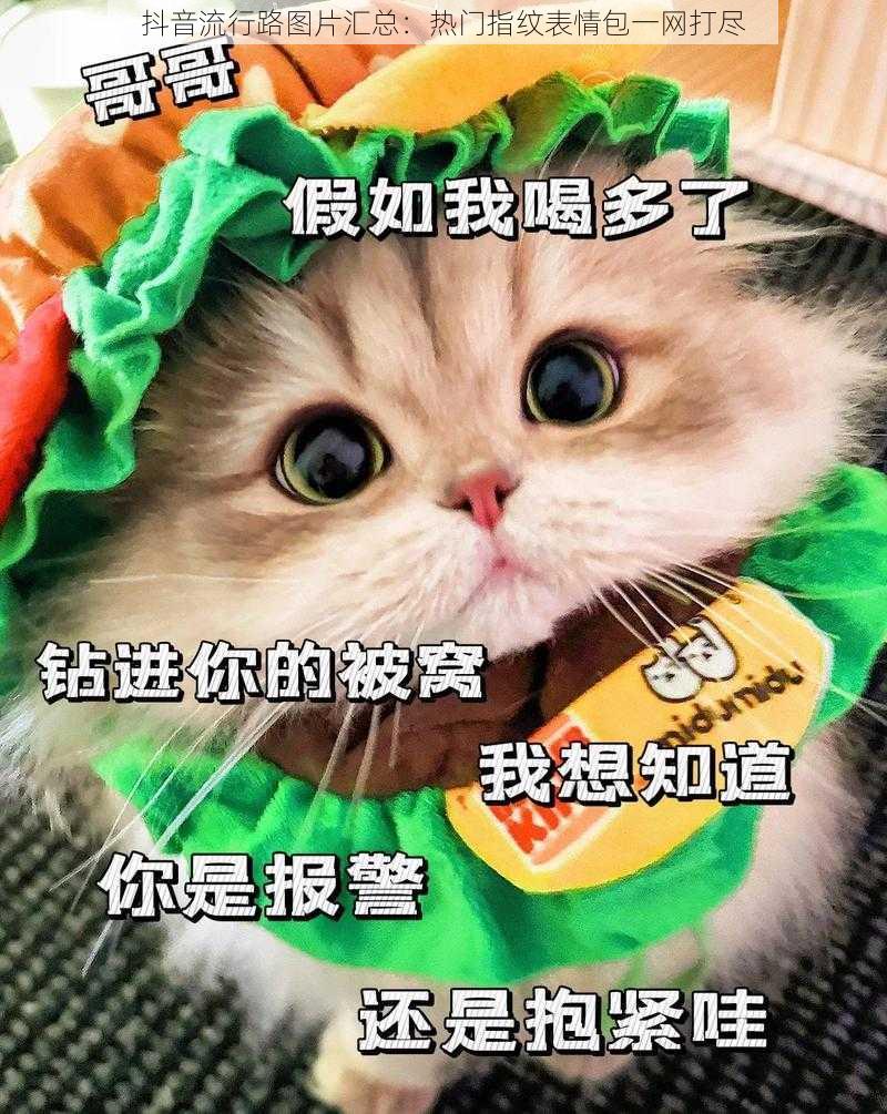 抖音流行路图片汇总:热门指纹表情包一网打尽