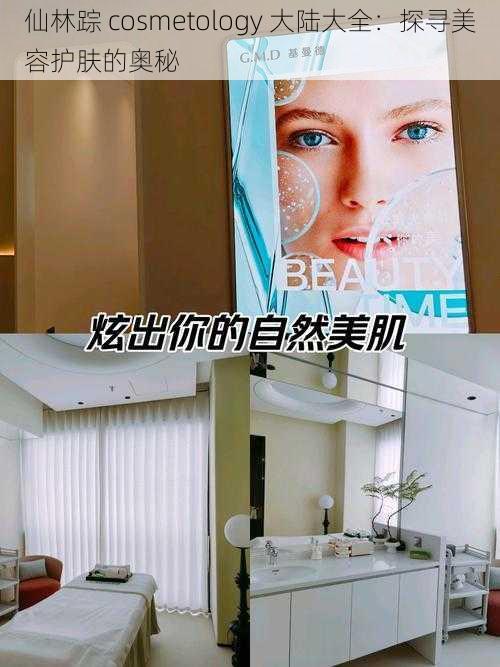 仙林踪 cosmetology 大陆大全:探寻美容护肤的奥秘
